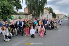 IMG20250619121936