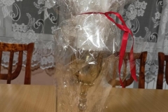 424581662_2419984484872308_8185401562576343348_n