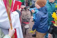 IMG-20230402-WA0008